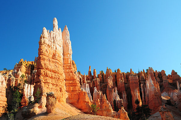 DSC_2476.jpg (4288x2848) NIKON D300 - 18-200mm f/3.5-5.6 // F8 // 1/250 sec // ISO 400 // 24,0 mm // no Flash // 2008:07:15 07:13:16 DSC_2476.jpg (4288x2848) NIKON D300 - 18-200mm f/3.5-5.6 // F8 // 1/250 sec // ISO 400 // 24,0 mm // no Flash // 2008:07:15 07:13:16